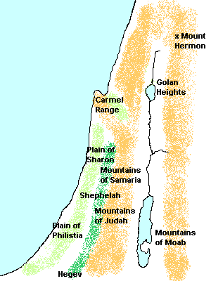Palestine Coastal Plain
